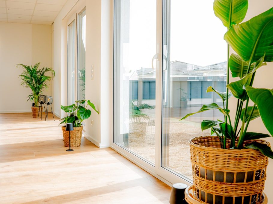 Moderne Innenansicht mit Pflanzen in Körben und großen Fenstern, die Tageslicht hereinlassen.